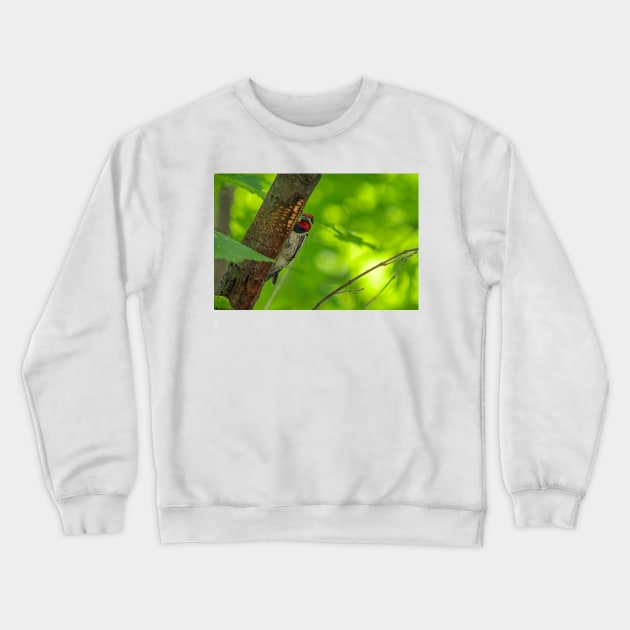 Yellow-bellied Sapsucker Crewneck Sweatshirt by Eunice1